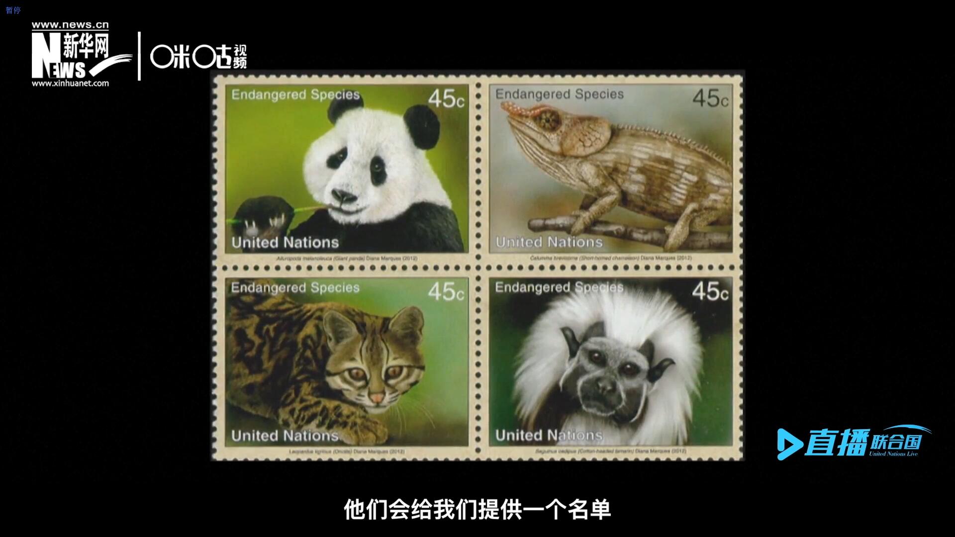 CITES（瀕危野生動植物種國際貿易公約）會給聯(lián)合國郵政設計師提供一個名單，雙方共同合作在附錄中找到名單中應該受到關注的動物。