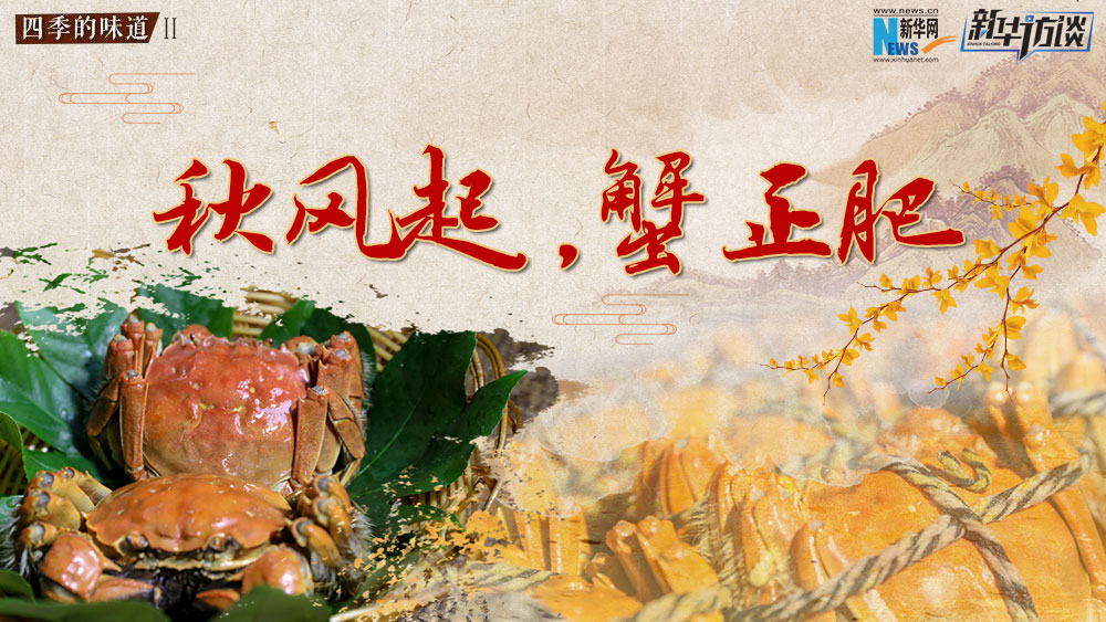 秋風起，蟹正肥