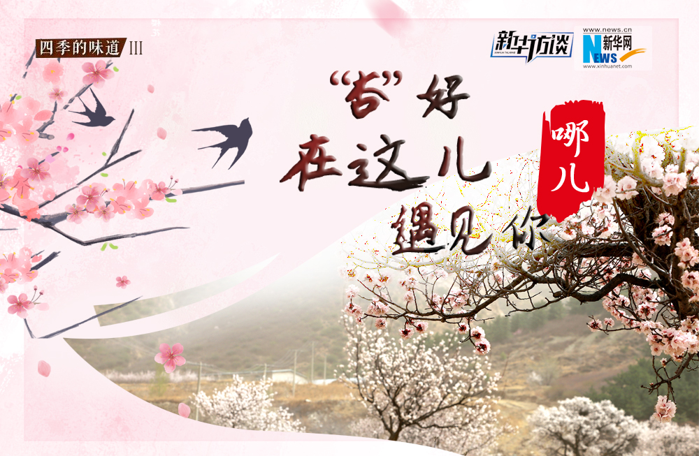 哪兒？“杏”好在這兒遇見(jiàn)你！